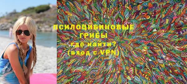 сатива Абдулино