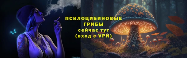 сатива Абдулино