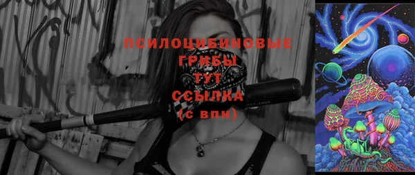 прущие крисы Абинск